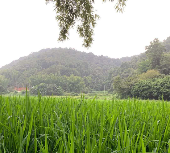 邦士度团建