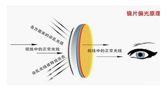 为什么偏光太阳镜比普通太阳镜更舒适，光线更柔和.jpg